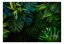 Samolepiaca fototapeta - Temná džungľa