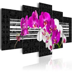 Obraz - Skromné orchidey