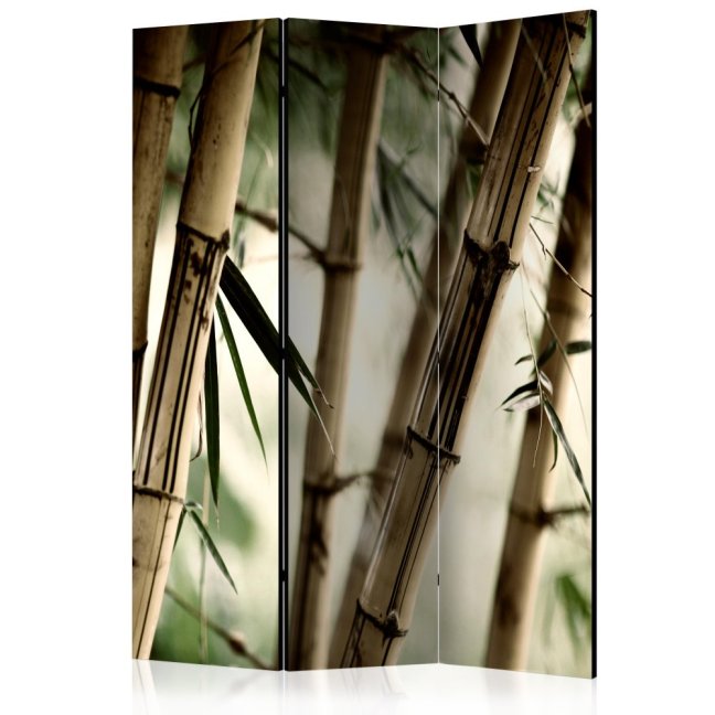 Paraván - Hmla a bambusový les