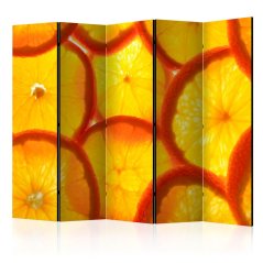 Paraván - Plátky pomaranča II