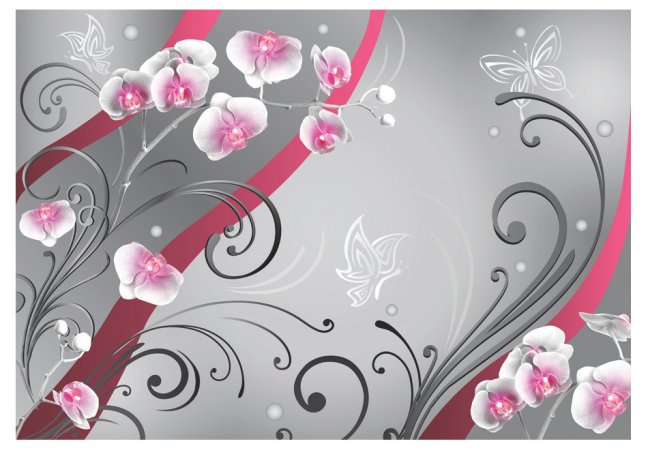 Fototapeta - Ružové orchidey - variácie