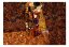 Fototapeta - Klimtova inspirace Obraz lásky