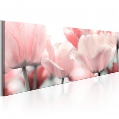 Obraz - Ružové tulipány