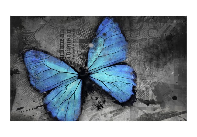 Fototapeta - Modrý motýľ II