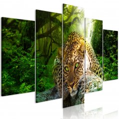 Obraz - Leopard ležiaci - zelený