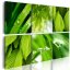 Obraz - Svieže zelené listy