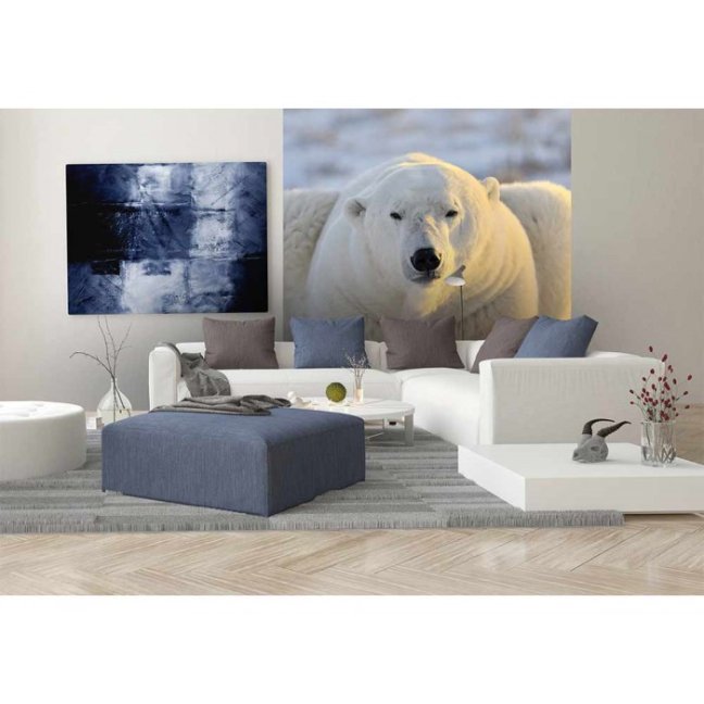 Fototapeta - Ľadový medveď