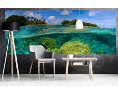 Panoramatická fototapeta - Koralový útes