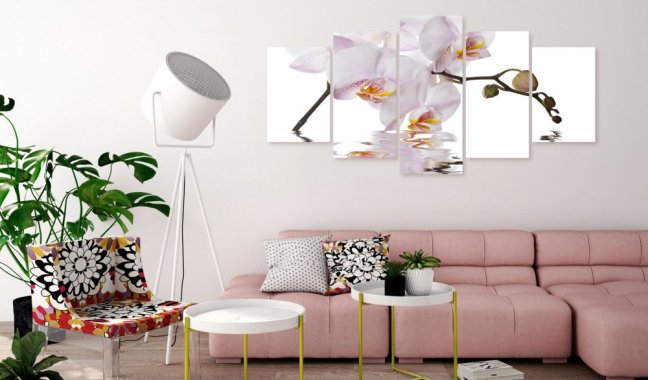 Obraz - Rozkošná orchidej