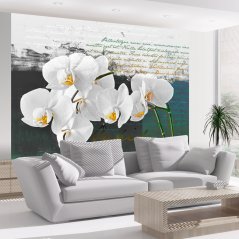 Fototapeta - Inspirace orchidejí