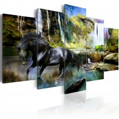Obraz - Černý kůň na pozadí rajského vodopádu
