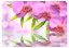 Fototapeta - Orchideje v barvě lila