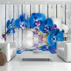 Fototapeta - Kobaltová orchidej