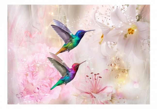 Fototapeta - Barevní kolibříci (růžová)