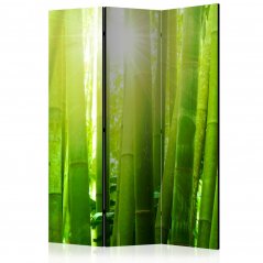 Paraván - Slunce a bambus III