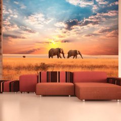 Fototapeta - Afričtí sloni v savaně