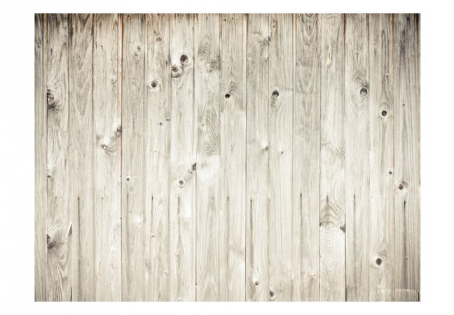 Fototapeta - Dřevěný plot
