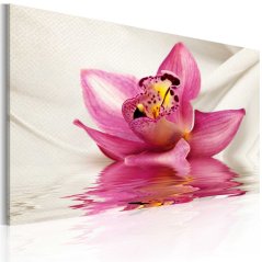 Obraz - Neobvyklá orchidej