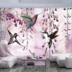 Fototapeta - Lietajúce kolibríky (ružové)