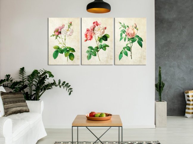 Obraz - Kvetinové trio (kolekcia)