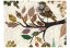 Fototapeta - Větve stromu s ptákem (patchwork)