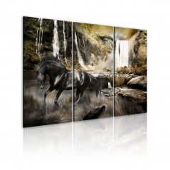 Obraz - Čierny kôň a skalnatý vodopád