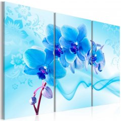 Obraz - Éterická orchidej - modrá
