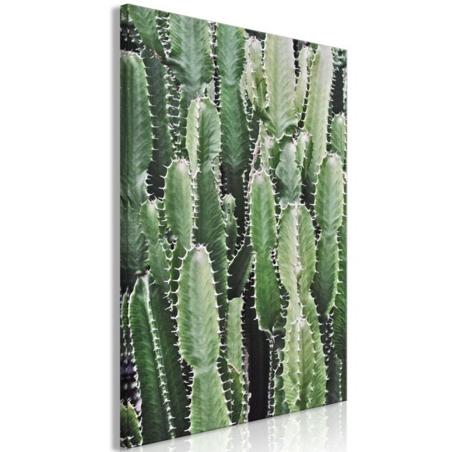 Obraz - Kaktusová záhrada