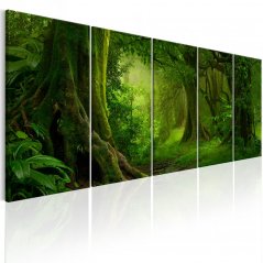 Obraz - Tropická džungle
