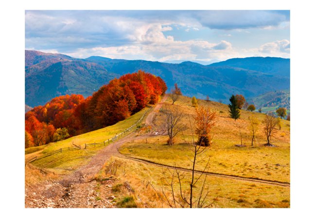 Fototapeta - Podzimní krajina v Karpatech