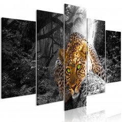Obraz - Leopard leží - šedý