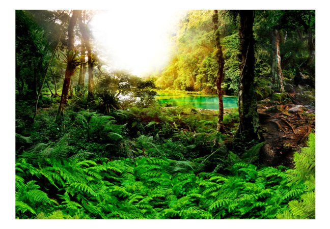 Fototapeta - Tropický prales