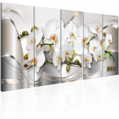 Obraz - Kvitnúce orchidey